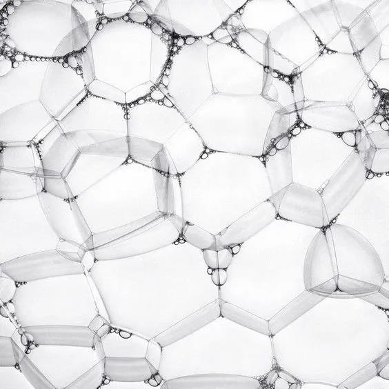 77779193永利官网(集团)有限公司