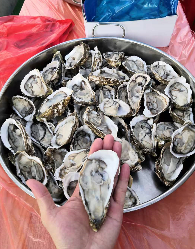 这样的中秋团建，，，你不喜欢很难！(图24)